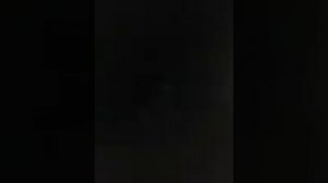 СОБАКА ПОРОДЫ ТАКСА ИГРАЕТ  С ИГРУШКАМИ И ЗАЩИЩАЕТ ДОМ !! САМОЕ ИНТЕРЕСНОЕ ВИДЕО ПРО ТАКСУ! !!!