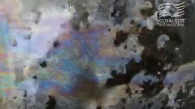 Минеральная композиция Coral Main смотреть онлайн