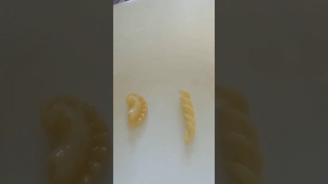 Наживка для рыбалки на крупную рыбу - линя, карася, карпа. смотреть онлайн