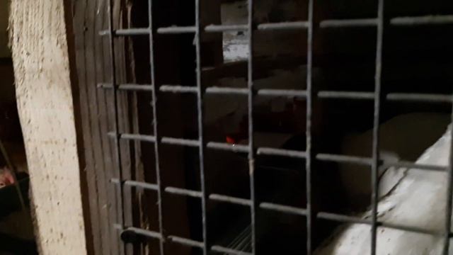 Изготовление ниппельной поилки. Плюсы и минусы ниппельных поилок.