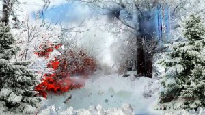 Волшебная музыка зимы  Цветы на снегу