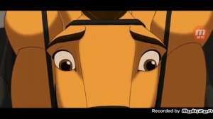 Укаращение мустанга ?