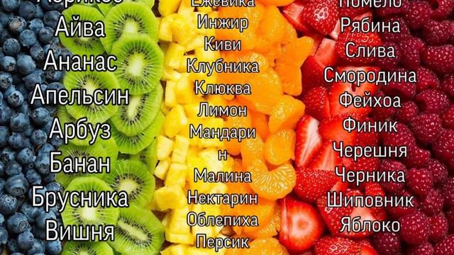 Чем кормить волнистых попугаев? Рацион волнистого попугая
