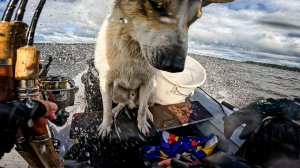 КОЛЬСКИЙ - КУМЖАТУР ‘23   часть  V "Штормовая рыбалка: борьба со стихией” ⛈️