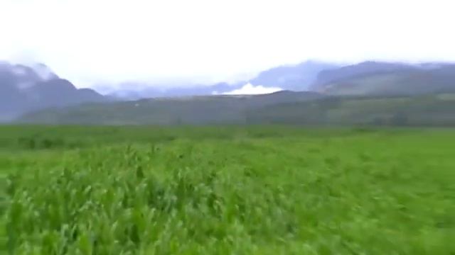 2013-07-02 Молитва после ночевки в предгорье Кавказа 291 смотреть онлайн