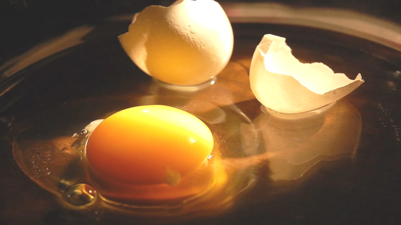 Готовим много Готовим просто Готовим быстро Готовим рецепты из яиц