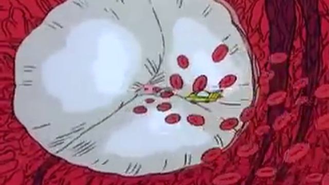 The Magic School Bus: Works Out смотреть онлайн