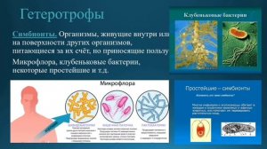 Естествознание 6 класс. Тема урока: Питание организма