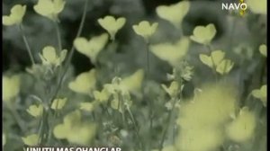 Муроджон Ахмедов.Буйларингга.