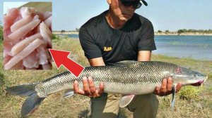 Осенняя наживка на крупную рыбу. Такая насадка без улова не оставит. Куриное мясо для рыбалки