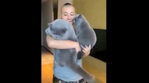 Если бы не Коты, что бы с нами было_ Смешные коты и кошки