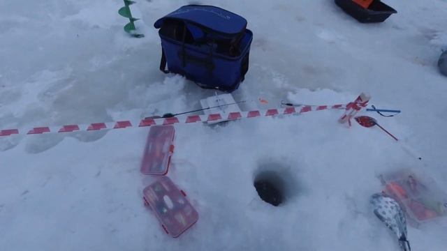 Рождественская рыбалка на форель на спортзоне Красногорска