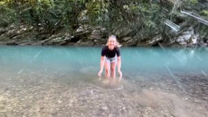 Тисо Самшитовая роща