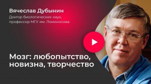Вячеслав Дубынин. Мозг: любопытство, новизна, творчество