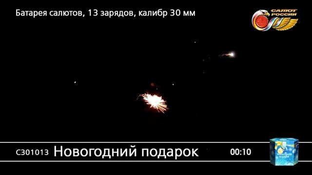 С301013 Новогодний подарок