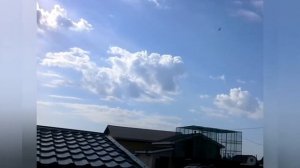 Турецкие голуби Алла