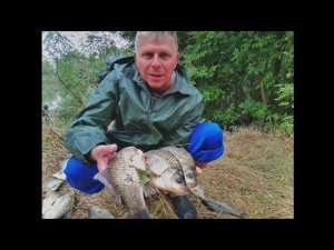 СЕМЕЙНАЯ РЫБАЛКА С НОЧЁВКОЙ. ДОНКИ, ЗАКИДУШКИ, СПИННИНГ. ЧТО МАМА ПОЙМАЛА НА ДОНКУ?