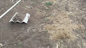 Изготовление шпалеры для винограда своими руками. Продолжение.