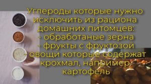 Рак у собак. 3 способа как избежать появления рака у собак #рак #собака #заболевания #jackrussell