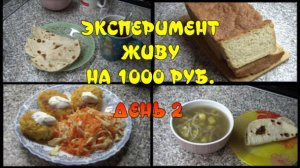 ЭКСПЕРИМЕНТ. ЖИВУ НА 1000 РУБЛЕЙ . ДЕНЬ 2. Пеку хлеб с овсянкой_котлеты пшённые_НОЯБРЬ 2022.