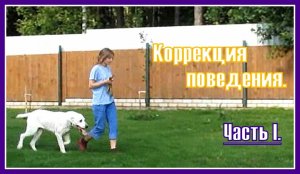 Т.К. Нышан. Коррекция поведения. Часть 1.