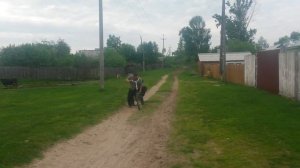 Деревенские будни в Морсово