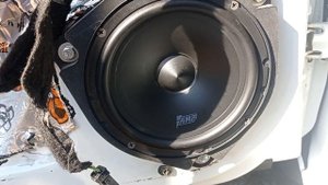 AMP MASS 6.5_1