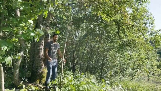 Прогулка по Ашраму с Романом Нарейко. 3.07.2022 смотреть онлайн