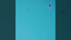 Песчаная гора Сарыкум в Дагестане! ( Марва Этнотревел )