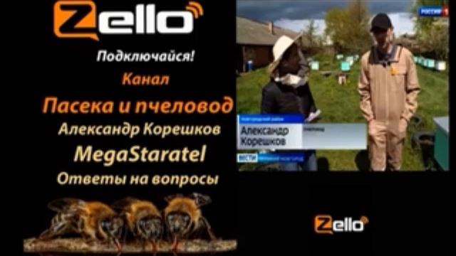 1часть Александр Корешков (Старатель)На Zello рации, канал- Пасека и  пчеловод