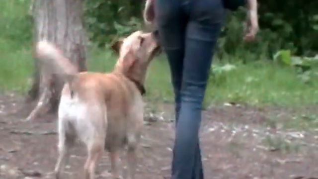 ОКД.  Юля и Пуля. Команда Рядом