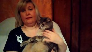 КАК Я НАЧАЛА ЗАНИМАТЬСЯ ПЕРЕДЕРЖКОЙ КОШЕК  / ПЕРЕДЕРЖКА  КОШЕК / ИСТОРИЯ МАКСА