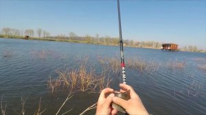 Карась клюет как дурной на боковой кивок в коряжнике! Удочка с боковым кивком рулит!