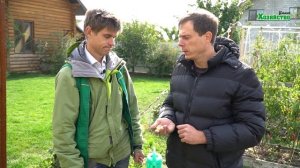 Посадка лука осенью под зиму. Севок Радар Голландия. Шалот кущевка. Тонкости посадки лука