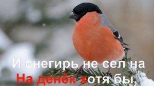 KARAOKE Кабы Не Было Зимы КАРАОКЕ.mp4.mp4