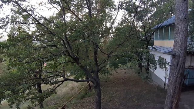 Турбаза Верхний бор.2019.июль.пение соловья! смотреть онлайн