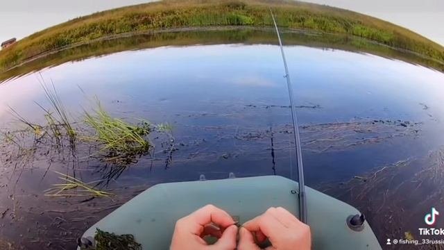 Рыбалка на водоросли #рыбалкаплотвы