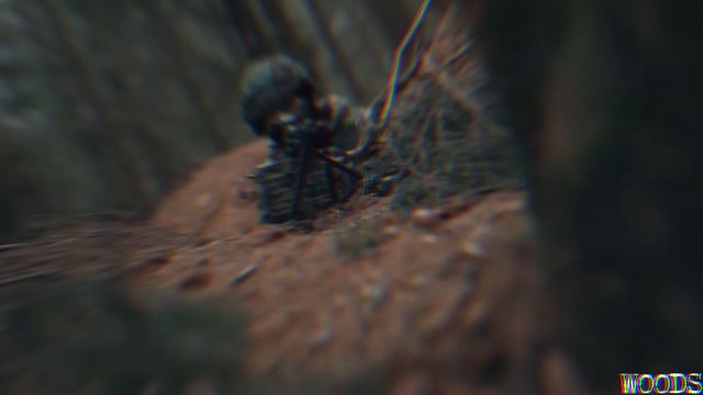 Russian Army |ZOV|
