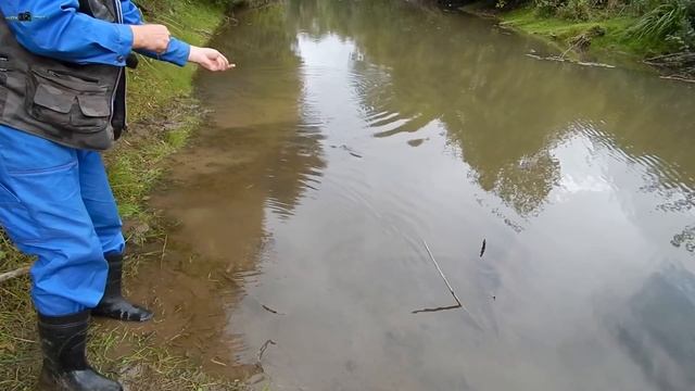 Рыбалка на самолов-капканчики на речке Выла в середине сентября. смотреть онлайн