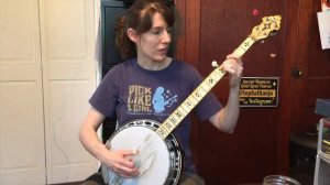 When First Unto This Country in G (DEMO) - Excerpt from Custom Banjo Lesson from The Murphy Method