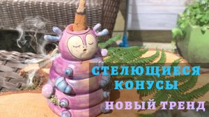 Стелющиеся благовония конусы-новый тренд