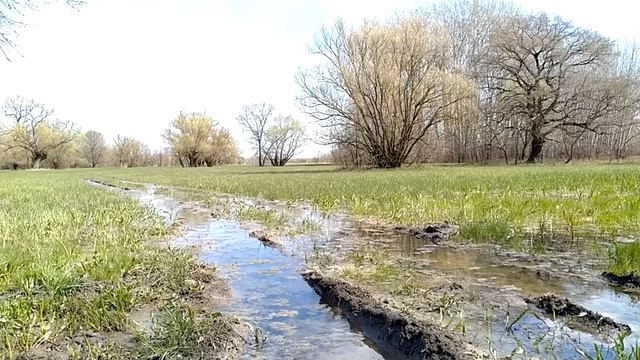 Nokia 5.1 / Nokia 5.3 / Canon LEGRIA HF R86 tesztfelvételek смотреть онлайн