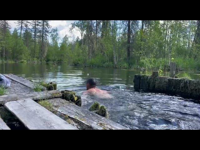 #закаливание #моржевание #купаниенароднике #зож #моржилетом смотреть онлайн