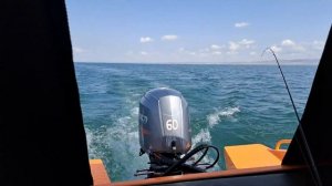 Первые часы обкатки катера ORION 46Ф с двигателем HIDEA 60 FUEL-T EFI