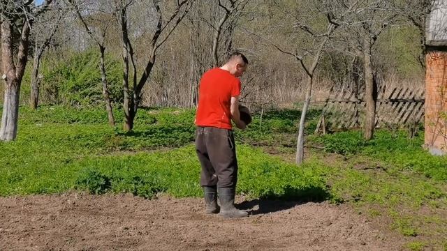 ГАЗОН НА ДАЧЕ СВОИМИ РУКАМИ смотреть онлайн