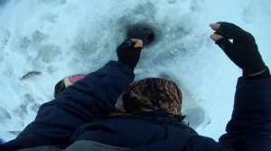 Зимняя рыбалка в Новосибирске. Рыбалка на окуня.  Открытие сезона 2020.