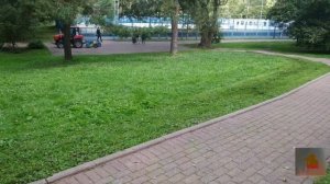 Инспекция на Мазиловском пруду