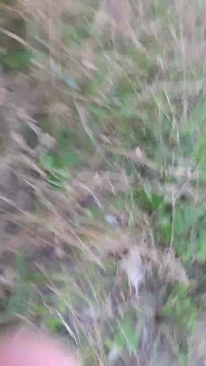 в гостях у бабули