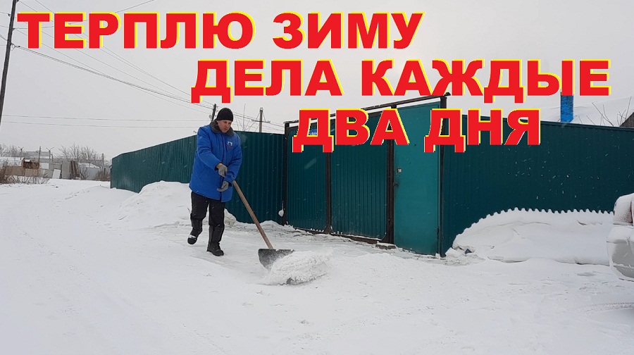 осеева просто старушка иллюстрации. добрые поступки. дела на зиму. добрые дела на зимней площадке. хорошие дела зимой.