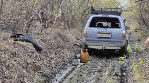 сурф вытащил лебедкой